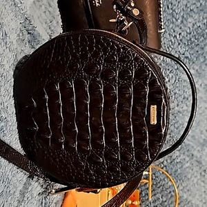 Rare Brahmin Lane in Black